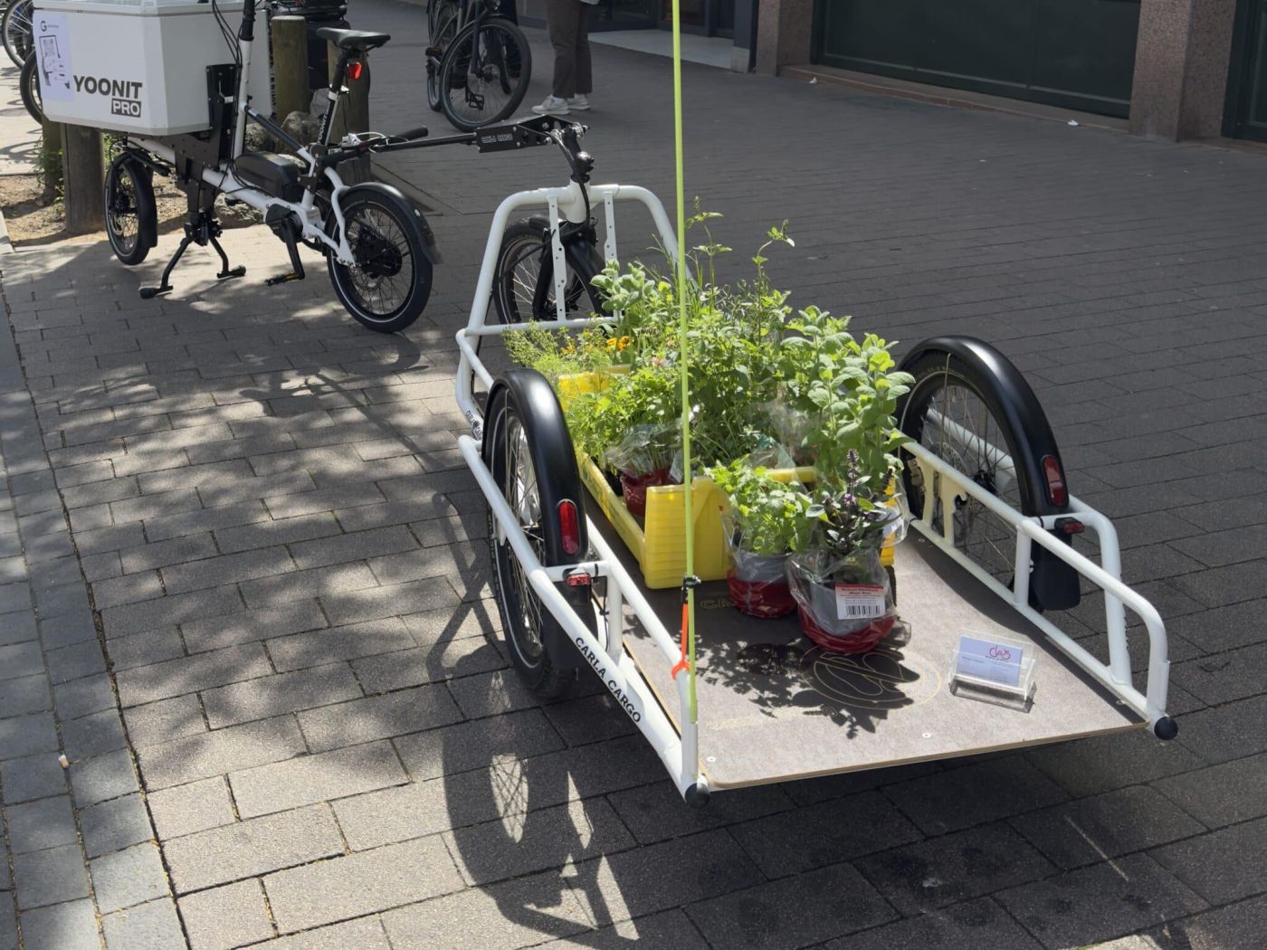  Jubiläumsaktion mit Gewinnchance Fahrrad Claus  Carla Cargo