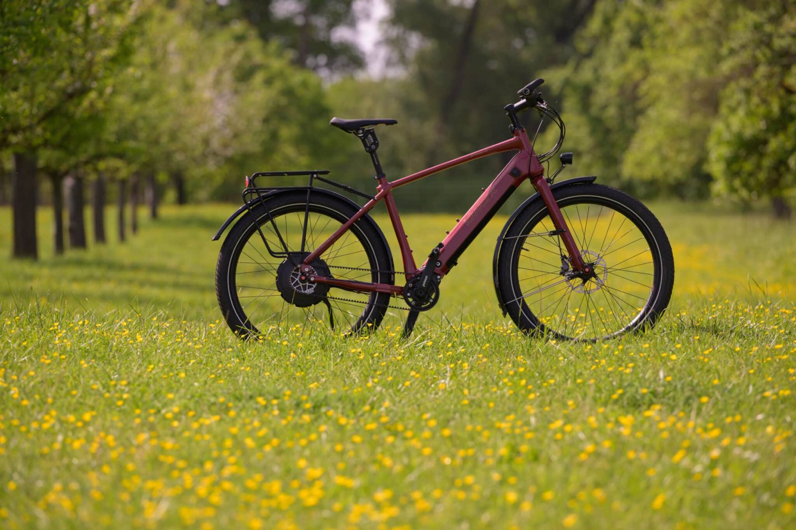 Stadtradeln Fahrrad Claus